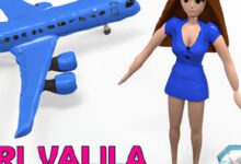 Viral Plane Lady Video Original